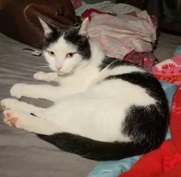 Kiki