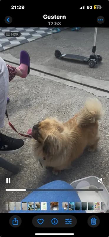 Roki