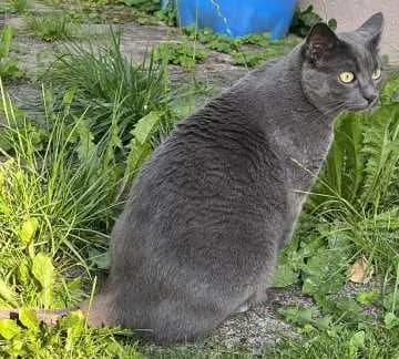 Mia