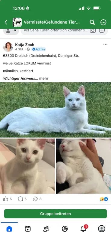 Lokum