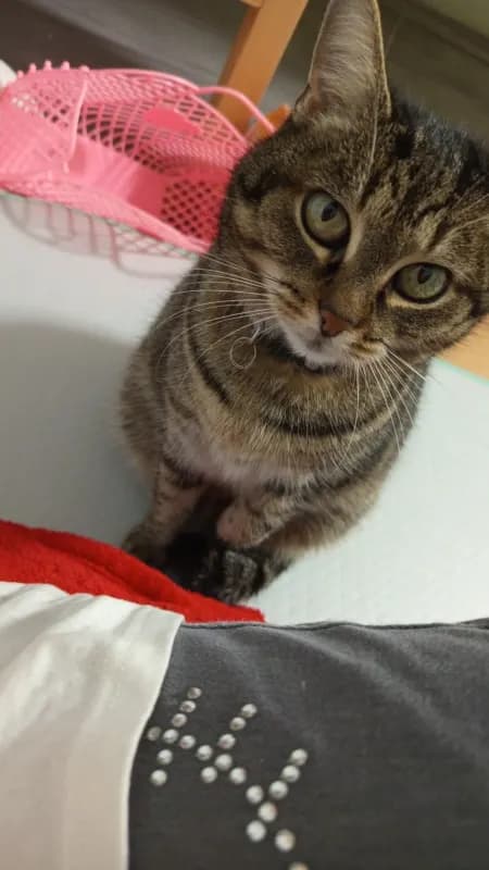 Lucy
