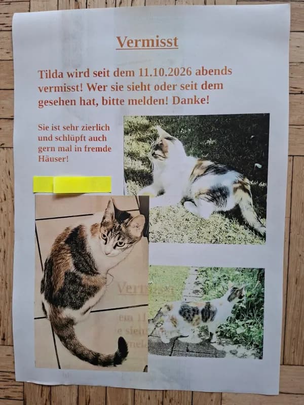 Tilda