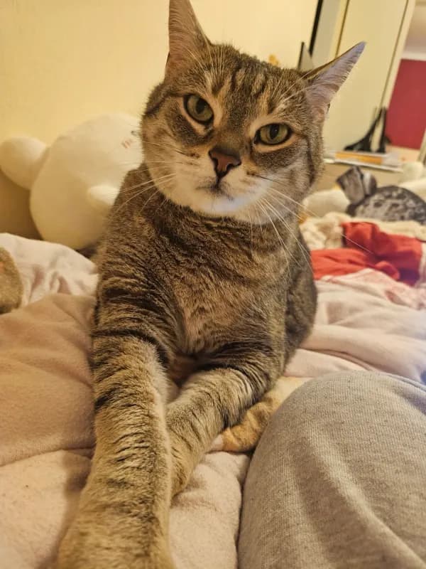 Leo