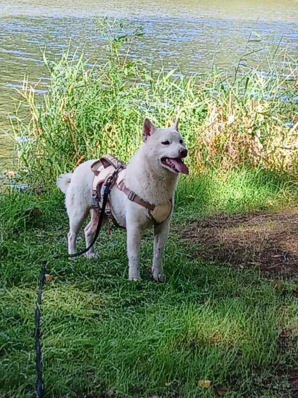 Yuki