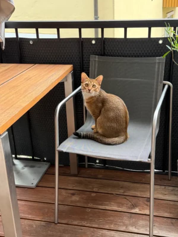Samu