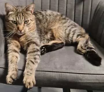 Sam