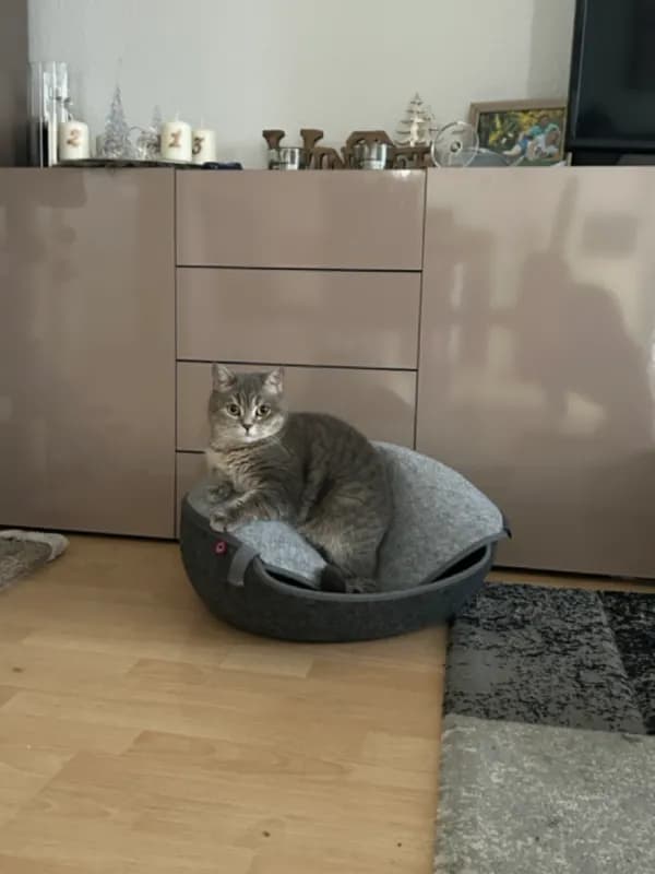 Dusja