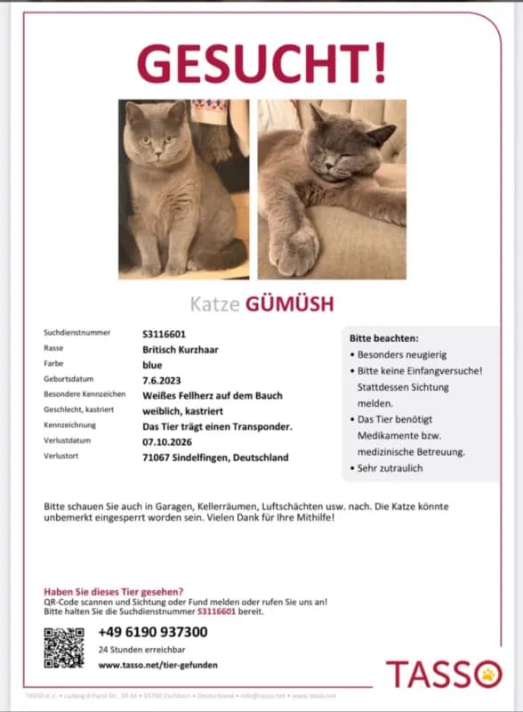 Gümüsh