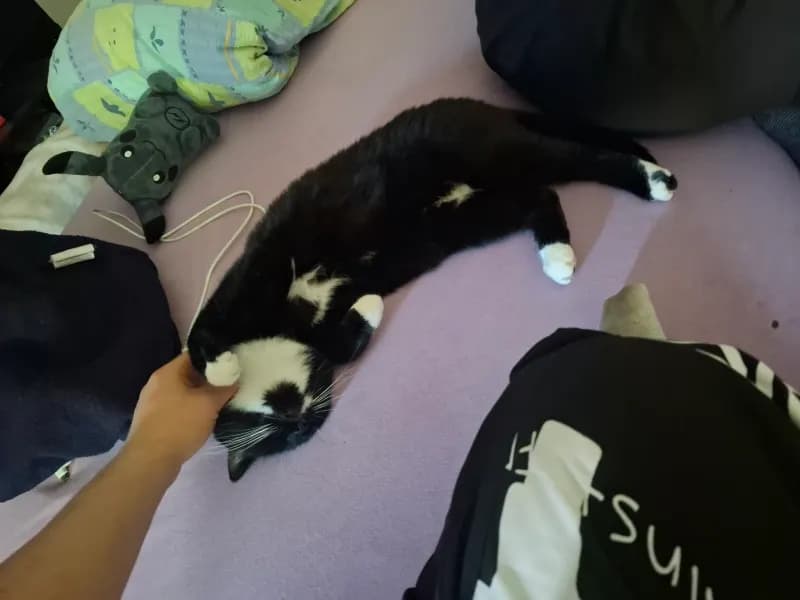 Mia