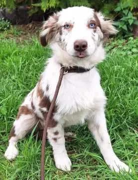 Bella