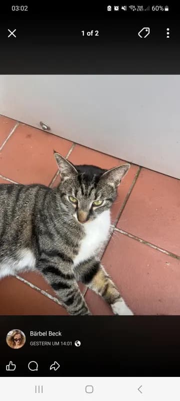 Tom