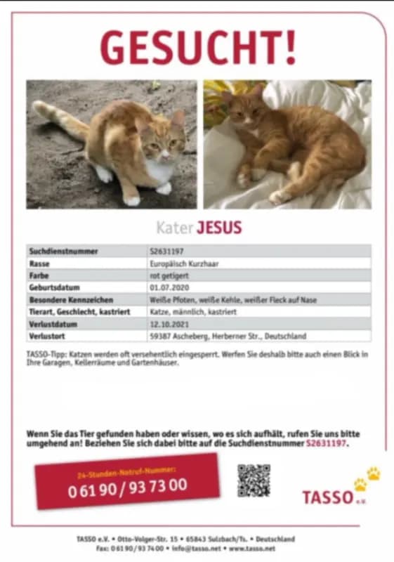 Jesus