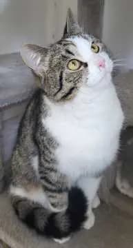 Tom