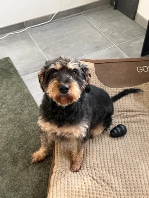 Charlie