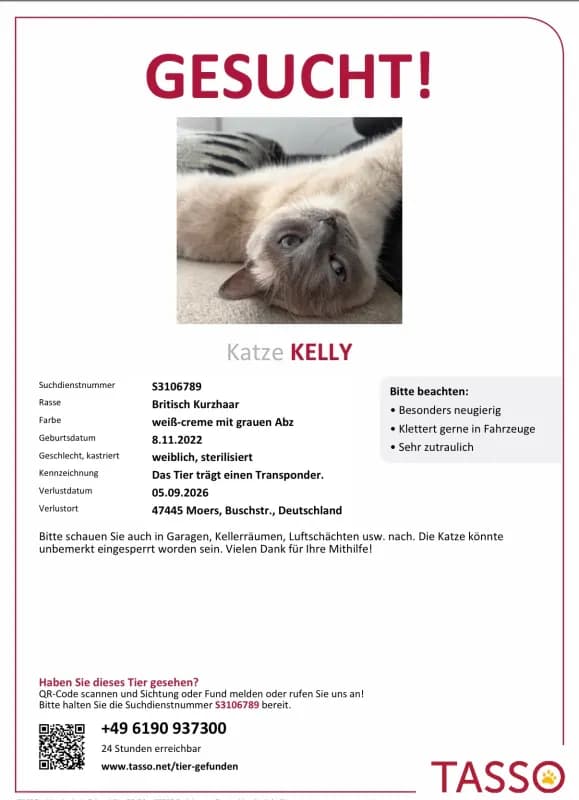 Kelly