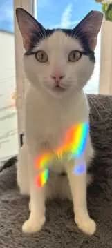 Walter