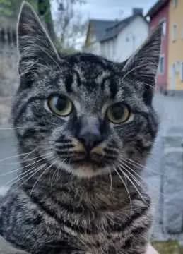 Paul