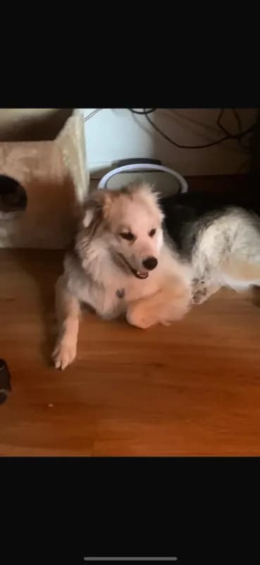 Sam