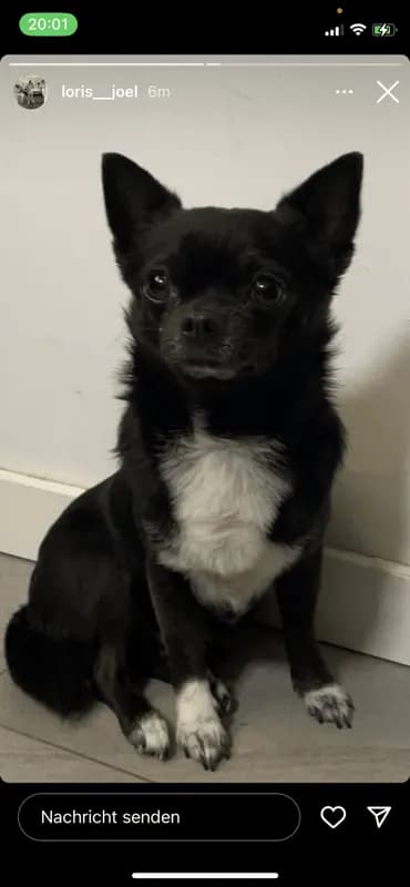 Rambo