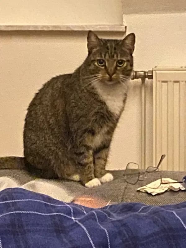 Nymphadora