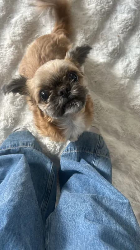 Mimi