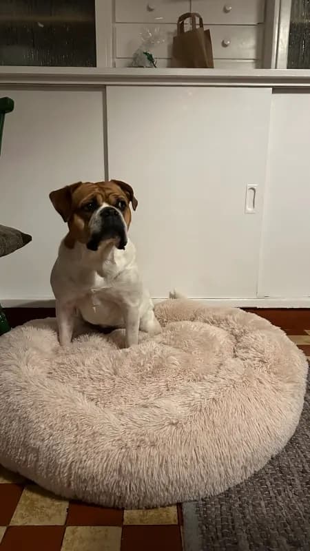 Charlie