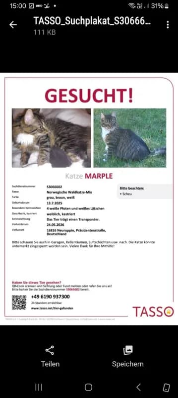 Marple