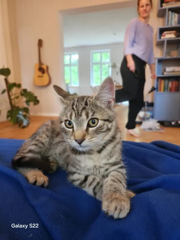 Miro