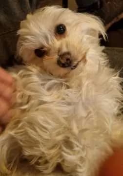 Wilma