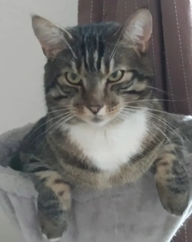 Eddie