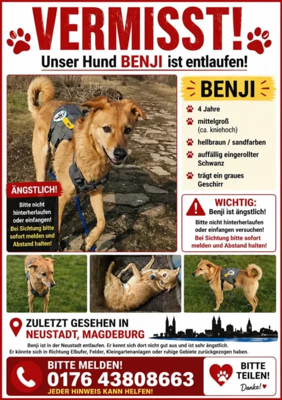 Benji