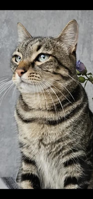 Leo