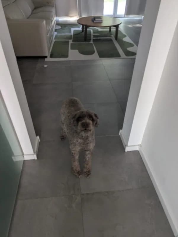 Truffle
