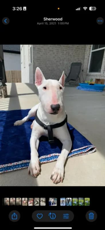 Roscoe