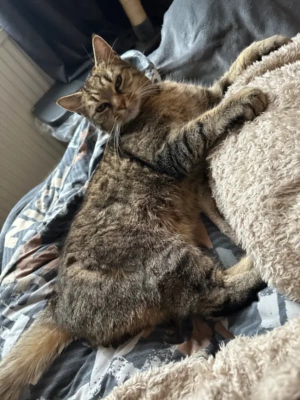 Oskar
