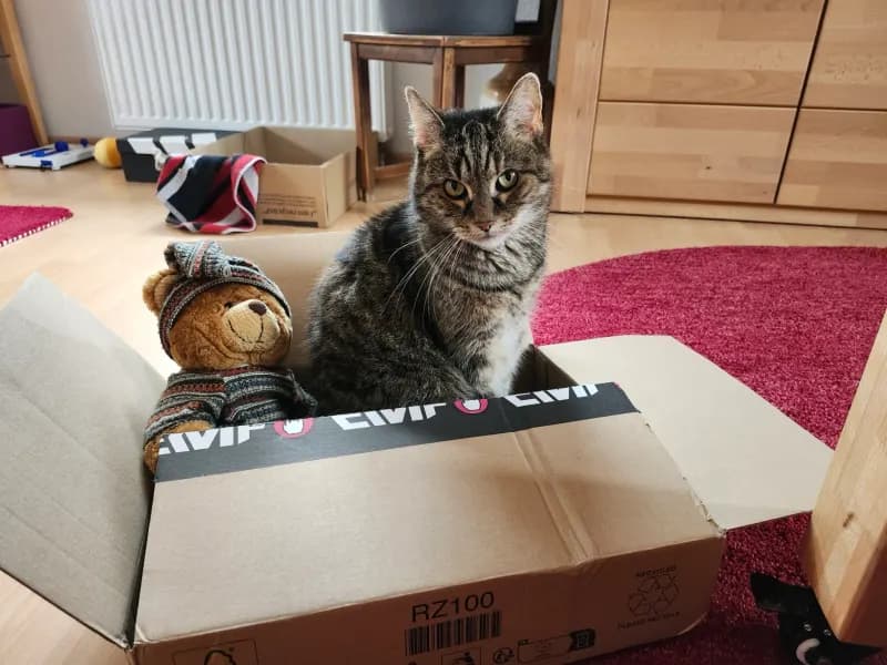Mimi