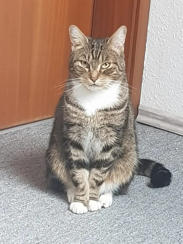 Kasper