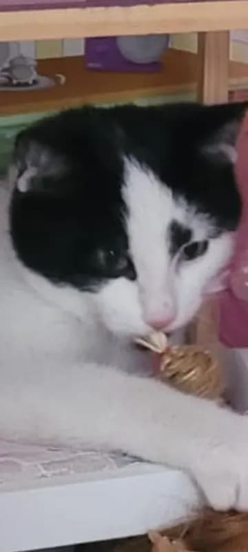 Milo
