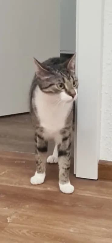 Mila