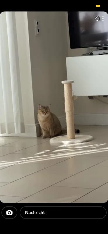 Minik