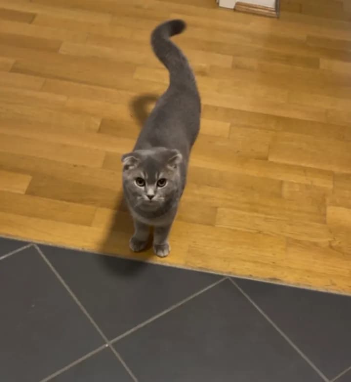 Abarg