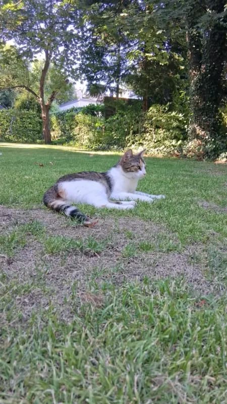 Mimi