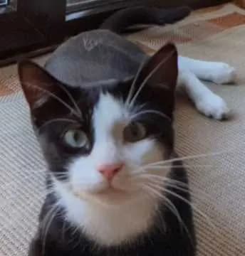 Max