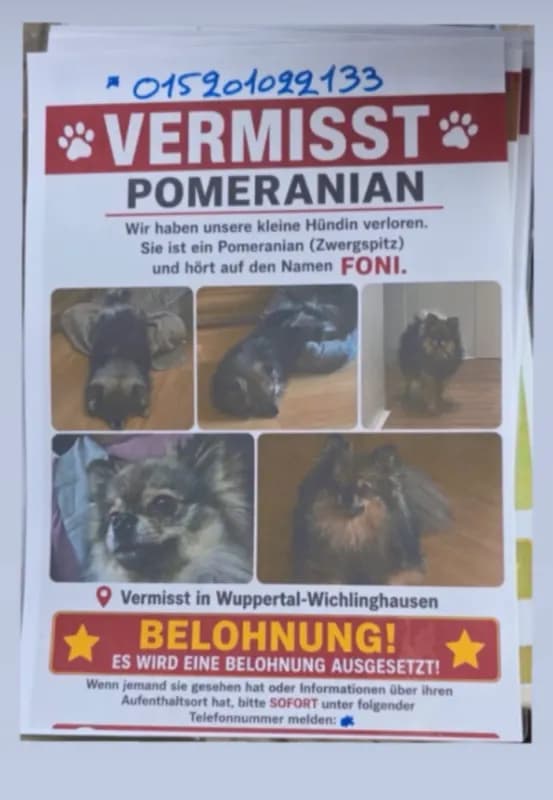 Foni