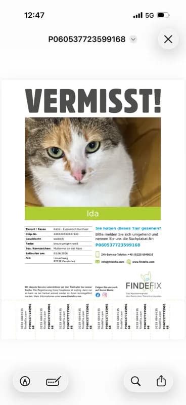 Ida