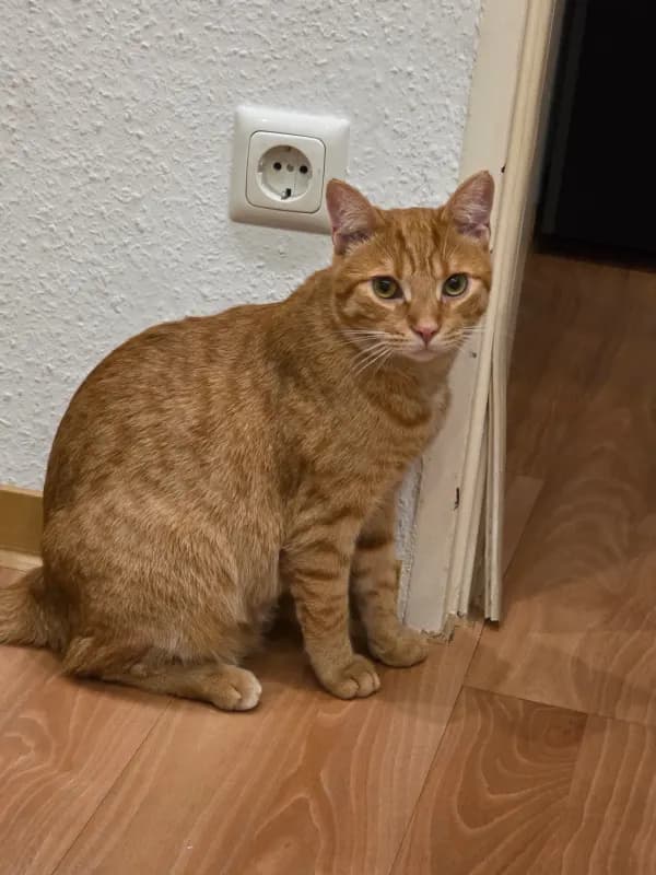 Rusty