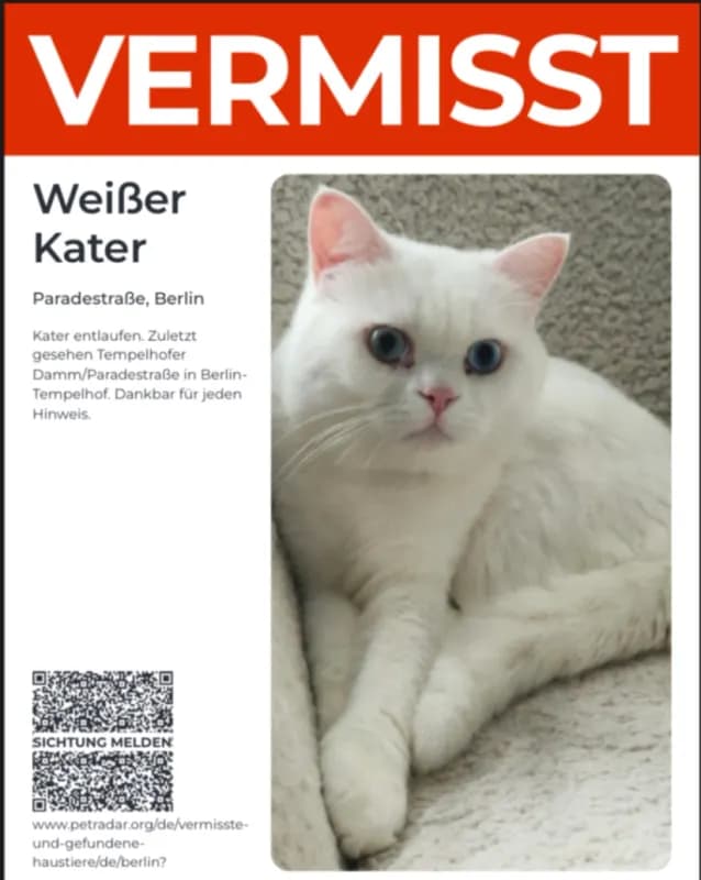 Mein Katar ist weiß