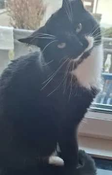Jack