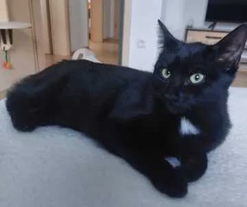Frieda