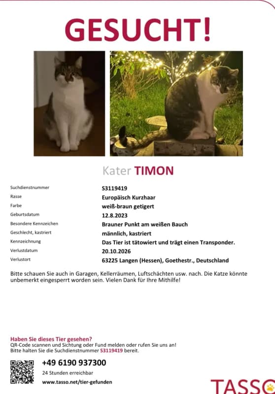 Timon